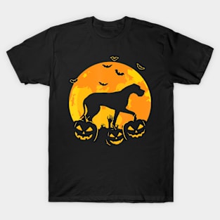 Halloween Great Dane Jack O Lantern Dog Puppy Pumpkin T-Shirt